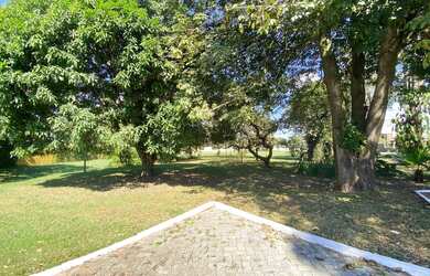 Imagem 4: Lote Regularizado no Park Way!! Oportunidade única!