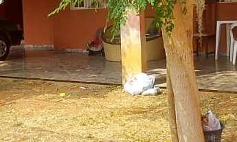 Imagem: Casa na Rua 8 de Vicente Pires