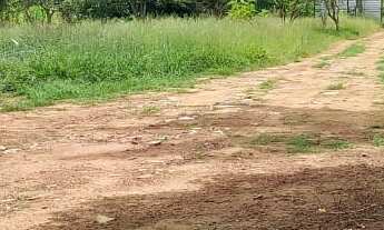 Imagem: Terreno de Cultura na Rodovia EPCT DF001!