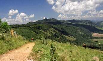 Imagem 2: SITIO RURAL em cambuquira - MG, Piripau