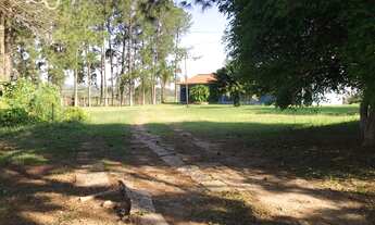 Imagem 5: ÁREA INDUSTRIAL DE 314.600M² À VENDA - Rodovia Dep. Archimedes Lammoglia