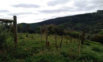 Imagem: Área em Itapeva troca por casa em Sorocaba