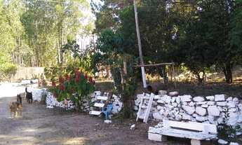 Imagem 7: Chácara à venda em Guareí, SP