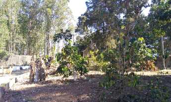 Imagem 6: Chácara à venda em Guareí, SP