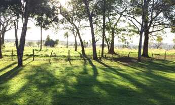 Imagem: Fazenda a venda em Bonito