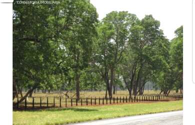 Imagem 3: Fazenda a venda em Bonito