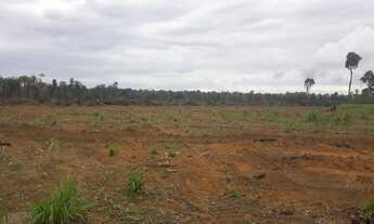 Imagem: Fazenda à venda na região Guaranazinho/Santarém