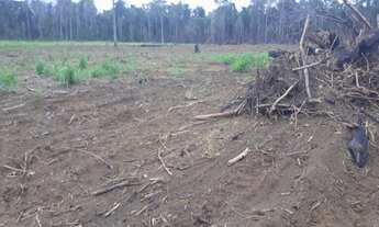 Imagem 5: Fazenda à venda na região Guaranazinho/Santarém - Pará