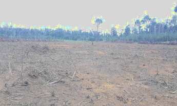 Imagem 6: Fazenda à venda na região Guaranazinho/Santarém - Pará