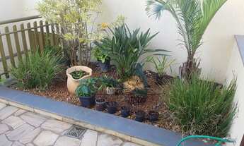 Imagem 4: 4 dormitórios na Rua Arari