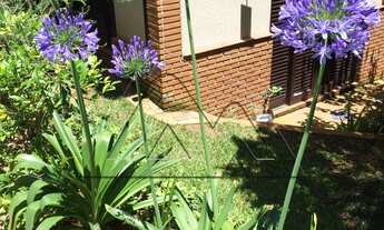 Imagem 4: 5 dormitórios na Rua Doutor José De Paiva Oliveira