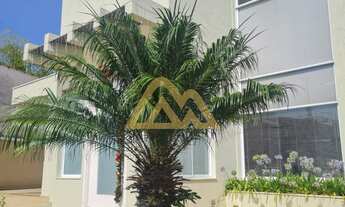 Imagem 6: 4 dormitórios na Avenida Paris