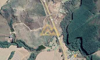 Imagem: Na Rodovia Br