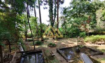 Imagem 3: 3000M² de Área Total na Rua José Martins De Carvalho