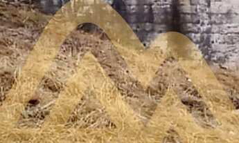 Imagem 7: 300M² de Área Total na Avenida Juscelino Kubitschek De Oliveira