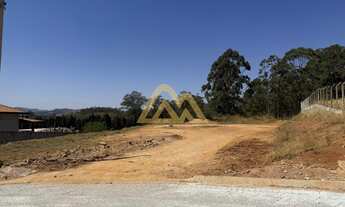 Imagem: 2046M² de Área Total na Avenida Campo