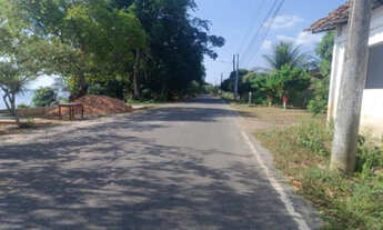 Imagem 6: CASA RESIDENCIAL em BAIÃO - PA, LIMÃO