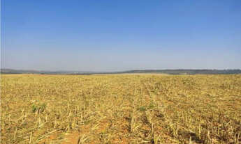 Imagem: TERRENO RESIDENCIAL em LUZIÂNIA - GO, PARQUE