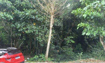 Imagem 3: TERRENO RESIDENCIAL em CABO DE SANTO AGOSTINHO - PE, VILA TEATRÓLOGO BARRETO JÚNIOR