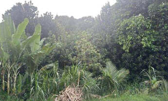 Imagem: TERRENO RESIDENCIAL em CABO DE SANTO AGOSTINHO