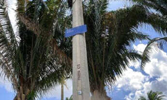 Imagem 4: APARTAMENTO RESIDENCIAL em ARARAQUARA - SP, VILA SANTA MARIA (VILA XAVIER