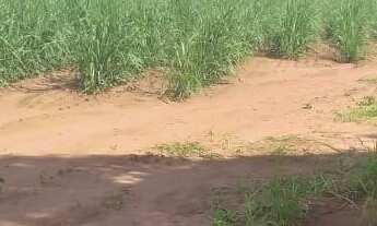 Imagem 6: AREA INDUSTRIAL em MOGI MIRIM - SP, CENTRO