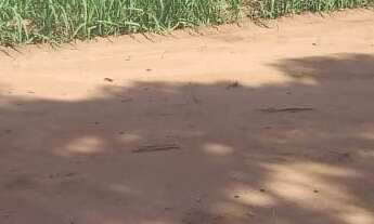 Imagem 4: AREA INDUSTRIAL em MOGI MIRIM - SP, CENTRO