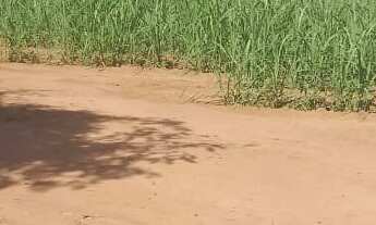 Imagem 5: AREA INDUSTRIAL em MOGI MIRIM - SP, CENTRO