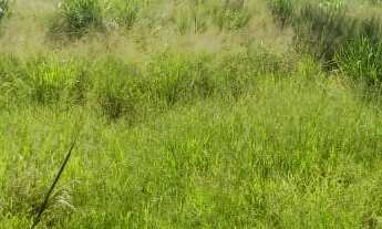 Imagem 3: AREA INDUSTRIAL em MOGI MIRIM - SP, CENTRO