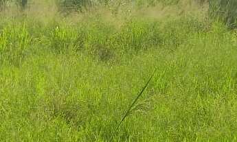 Imagem 2: AREA INDUSTRIAL em MOGI MIRIM - SP, CENTRO