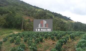 Imagem 7: 1 banheiros, 242000M² de Área Construída, 242000M² de Área Total