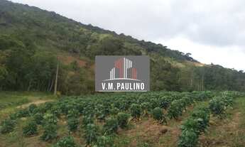 Imagem 6: 1 banheiros, 242000M² de Área Construída, 242000M² de Área Total