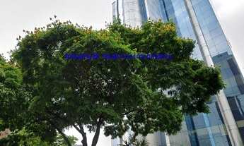 Imagem 1: Laje Comercial 533m², copa, 08 banheiros e 12 vagas na garagem. Condomínio com recepção e