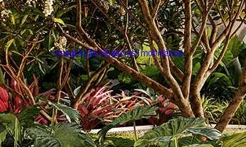 Imagem 3: Apartamento 277,91m², 04 dormitórios (sendo suítes), 05 banheiros e 04 vagas de garagem;