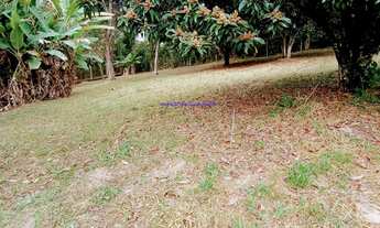 Imagem: Terreno 3.460 m², possui 01 casa com 3