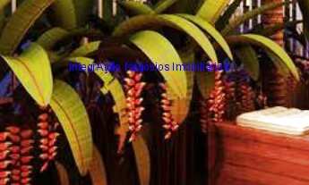 Imagem 2: Apartamento 41m², 02 dormitórios e 01 banheiro. Condomínio com portaria, academia, piscin