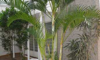 Imagem: Casa 268m², 02 dormitórios e 02 banheiros