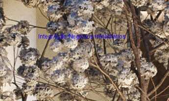 Imagem 3: Apartamento 134m², 02 dormitórios (sendo suítes), 03 banheiros e 02 vagas de garagem; (Fot