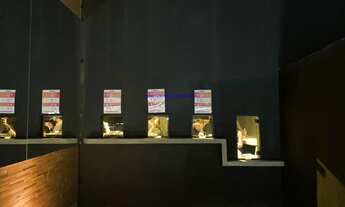 Imagem 7: Galpão 450m², 07 banheiros. Excelente localização entre as Ruas Lavradio, Brigadeiro Galv