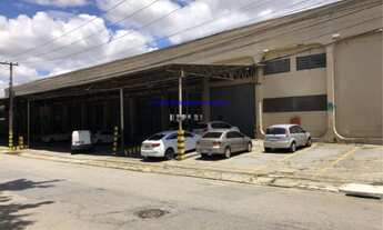 Imagem 2: Galpão 5.271m², portaria, 14 Acessos elevados para carga e descarga, 02 docas, rampa de ac