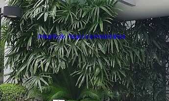 Imagem: Conjunto Comercial 104m², 02 banheiros