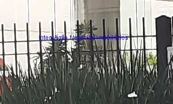 Imagem 7: Condomínio com portaria, segurança 24hrs, salão de festa, jardim e playground. Excelente