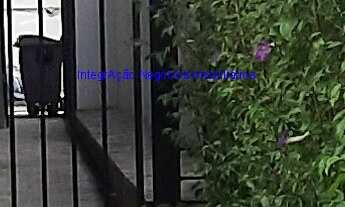 Imagem 3: Condomínio com portaria, segurança 24hrs, salão de festa, jardim e playground. Excelente