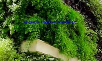 Imagem 7: Loja 792m², 04 banheiros e 7 vagas de garagem. Excelente localização entre as Ruas Frei C