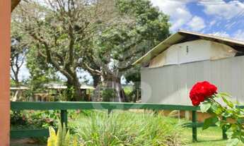 Imagem 2: SITIO A VENDA / SITIO / AREA RURAL / AREA A VENDA / SITIO INTERIOR DE SÃO PAULO