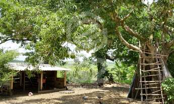 Imagem 7: SITIO A VENDA / SITIO / AREA RURAL / AREA A VENDA / SITIO INTERIOR DE SÃO PAULO