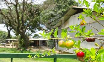 Imagem 4: SITIO A VENDA / SITIO / AREA RURAL / AREA A VENDA / SITIO INTERIOR DE SÃO PAULO