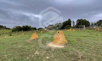 Imagem: Sitio a venda Salto-SP / Sitio / Chacara