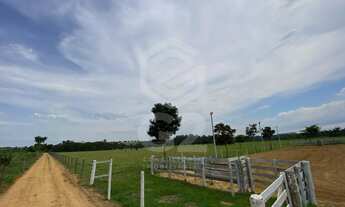 Imagem: Sitio a venda / Sitio Elias Fausto-SP /