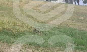 Imagem: TERRENO RESIDENCIAL em INDAIATUBA - SP